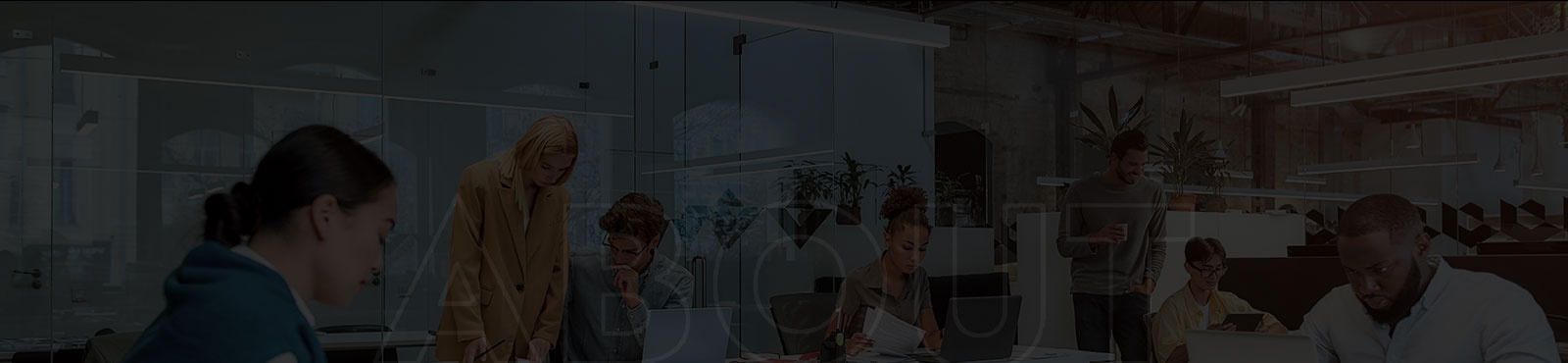 apexmktginc